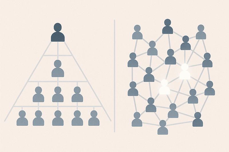 The platform company model